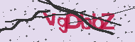Captcha認証コード